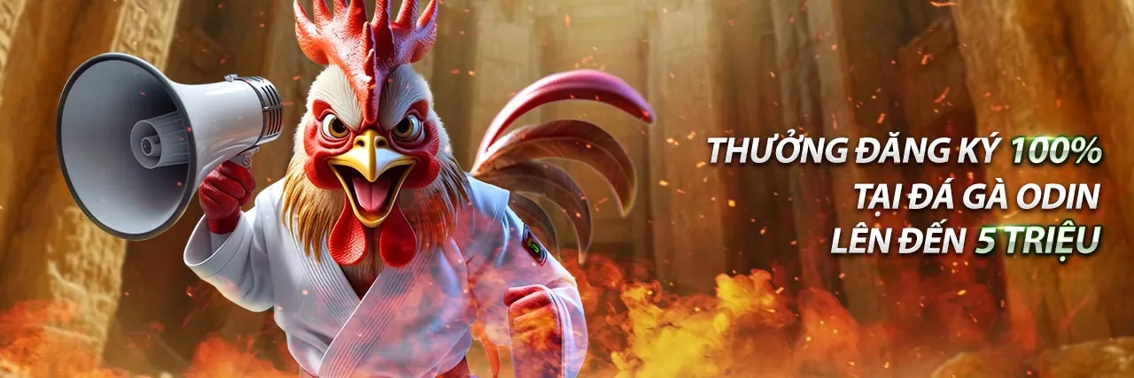 Đấu trường đá gà trực tiếp sôi động, khán giả hào hứng